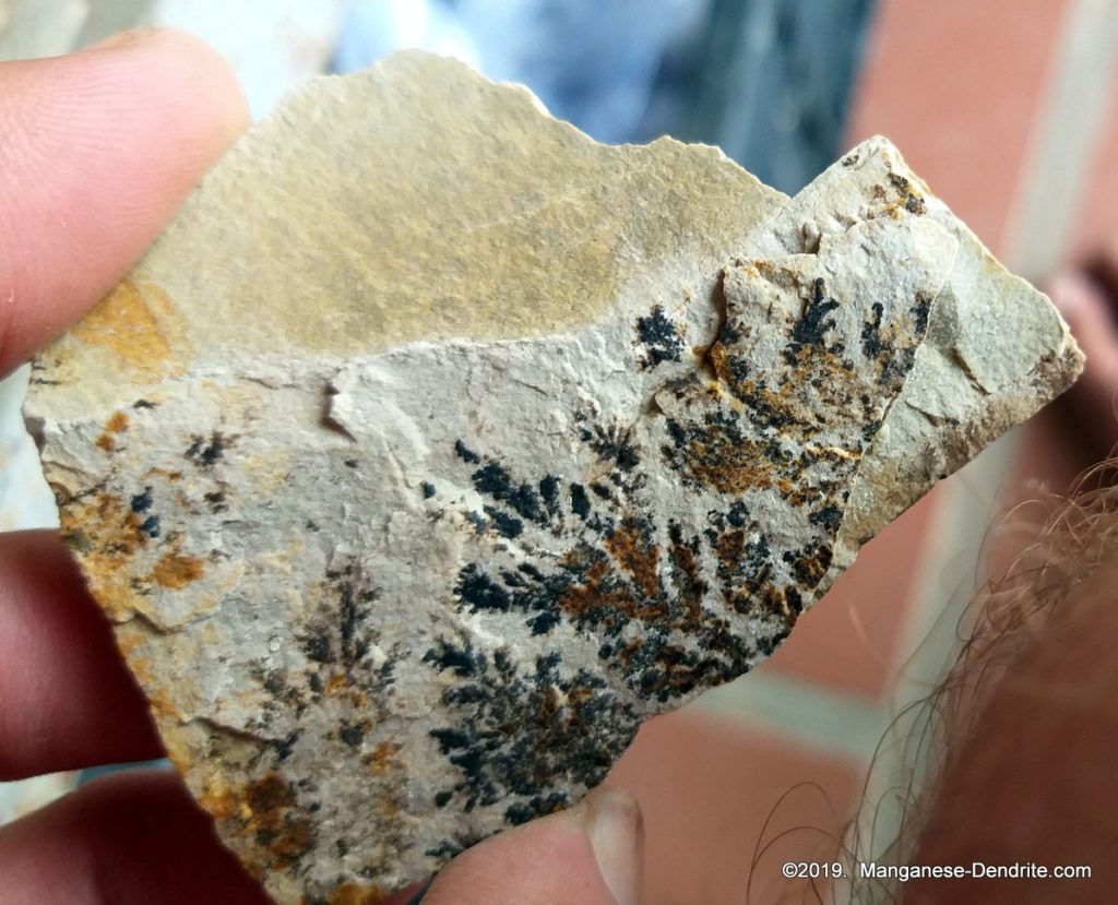 Manganese Dendrite - Picture Rock