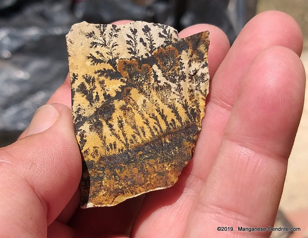 Manganese Dendrite - Picture Rock