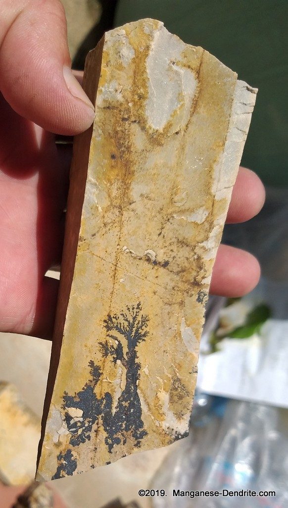 Manganese Dendrite - Picture Rock