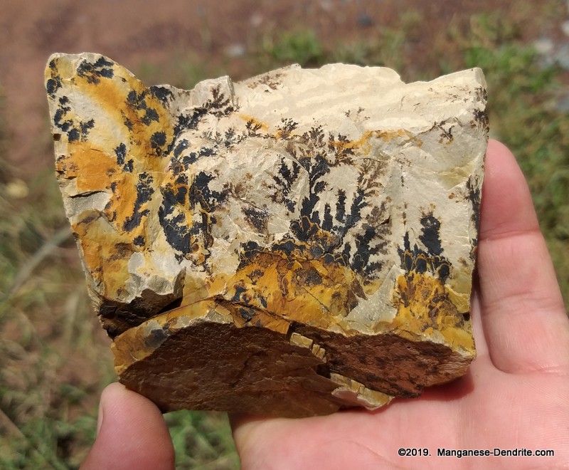 Manganese Dendrite - Picture Rock