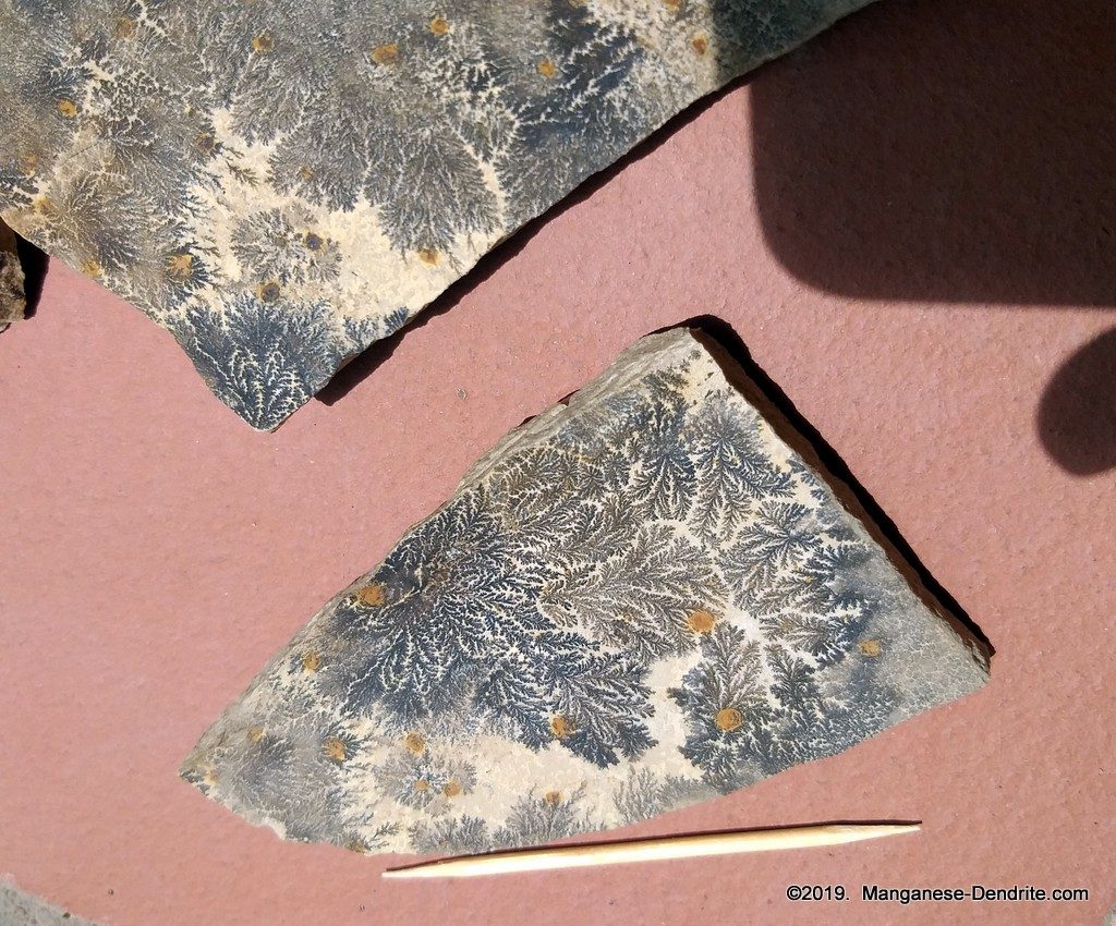 Manganese Dendrite - Picture Rock