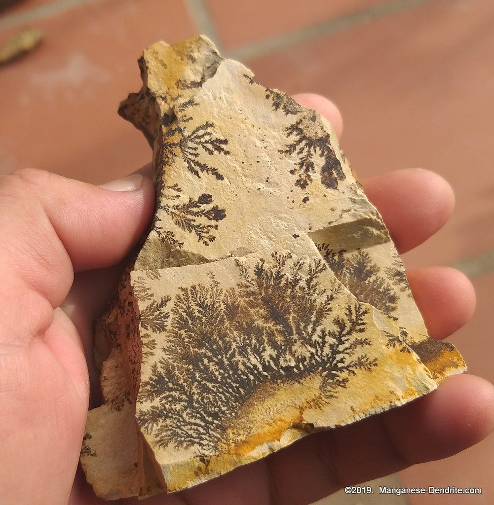 Manganese Dendrite - Picture Rock